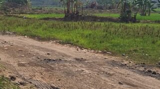 Menurut Warga Sekitar, Tambang Ada Dipanyakalang  Bermodus Cetak Sawah dan Pasirnya Dijual
